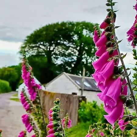 Foxglove Holiday home *