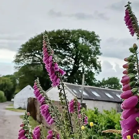 Holiday home Foxglove